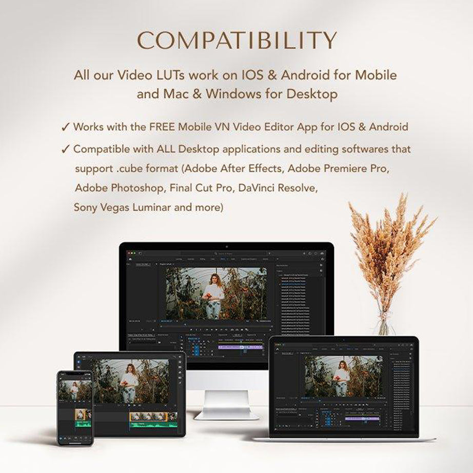 Earth Tones Video LUTs, Final Cut Pro